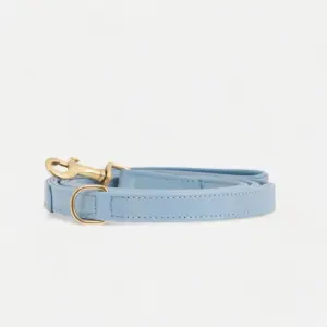 Leder Hundeleine Sky (Baby-Blau)