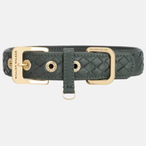 Leder Hundehalsband Prestige Dunkelgrün