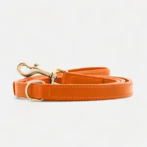 Leder Hundeleine Orange dünn