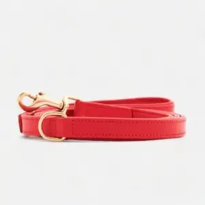 Leder Hundeleine Rot Dünn